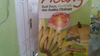 Image of Pisang: Budi Daya, Manfaat, Dan Aneka Olahan